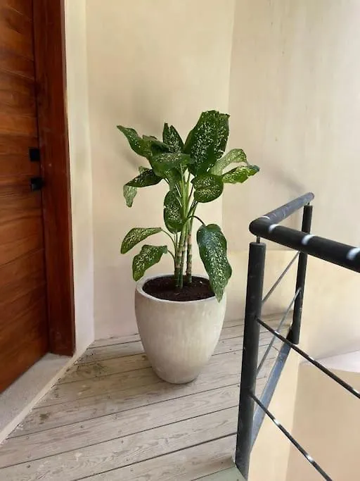 Maha Apartment Tulum